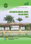 Kecamatan Medan Johor Dalam Angka 2013