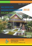 Medan Perjuangan Subdistrict in Figures 2018