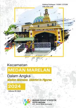 Medan Marelan District In Figures 2024