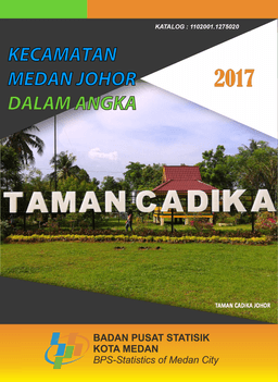 Kecamatan Medan Johor Dalam Angka 2017