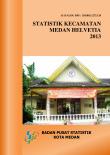 Statistik Daerah Kecamatan Medan Helvetia 2013