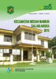 Kecamatan Medan Maimun Dalam Angka 2013